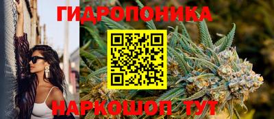 круглые Краснознаменск