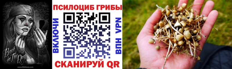Псилоцибиновые грибы Psilocybe  omg ссылка  Тюмень  где продают  