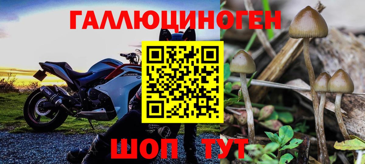 Галлюциногенные грибы Cubensis Тюмень